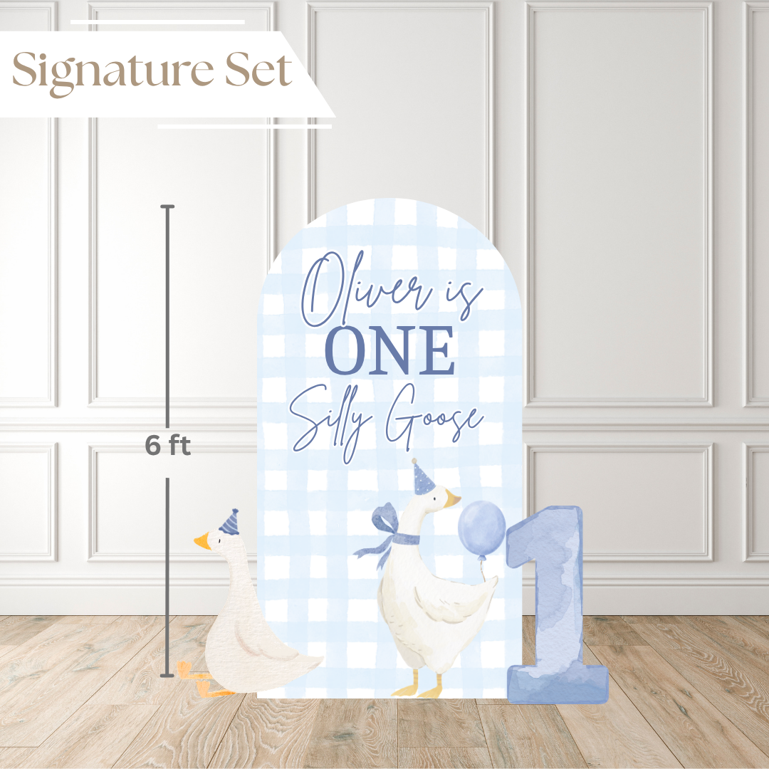 One Silly Goose Boy | Birthday Backdrop