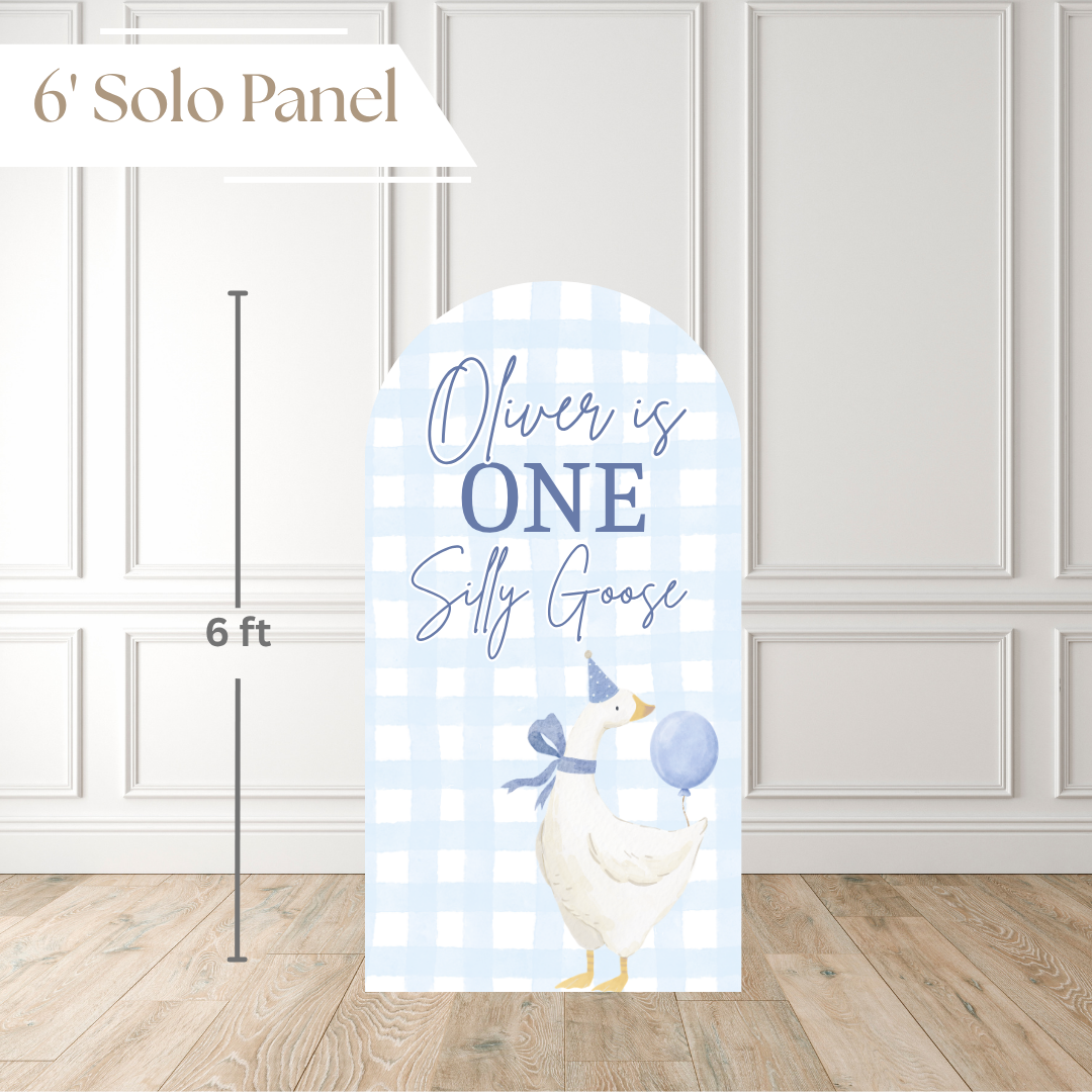 One Silly Goose Boy | Birthday Backdrop
