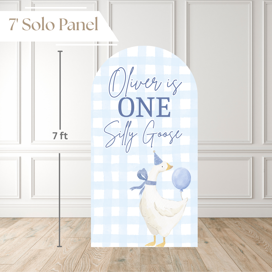One Silly Goose Boy | Birthday Backdrop